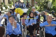 Mẹ già như chuối chín cây ... 