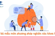 Nghiên cứu đăng tạp chí Quốc tế